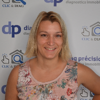 diagnostiqueurs immobiliers 