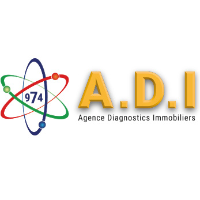 réglementation diagnostic immobilier LA SALINE