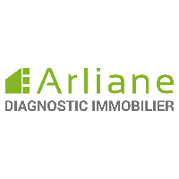 loi diagnostic immobilier Saint-Sylvestre-sur-Lot
