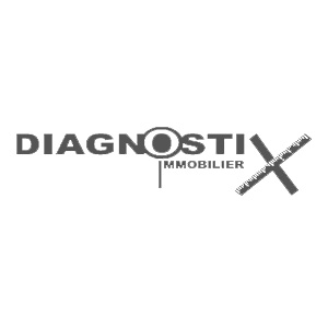 loi diagnostic immobilier Bruille-Saint-Amand