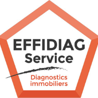 loi diagnostic immobilier Petit-Couronne