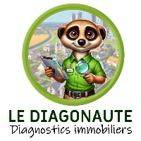 diagnostic immobilier vente Le Mans