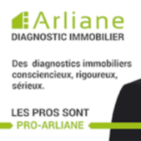 diagnostiqueurs immobiliers Essarts